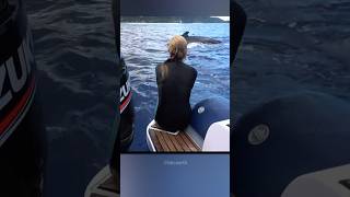 Brave Whale Saves Woman From Shark Attack😍 [upl. by Enyawad]