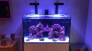 My Reefer 250 finally cycled [upl. by Eanaj]