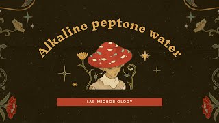 Alkaline peptone water [upl. by Bathesda]