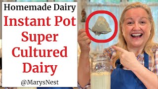 How to Make Instant Pot L Reuteri Cultured Dairy  Homemade l Reuteri Yogurt  Super Gut Yogurt [upl. by Naerad]