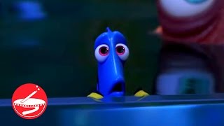 Do You Have Memory Loss Like Dory  Memory Facts [upl. by Cila170]