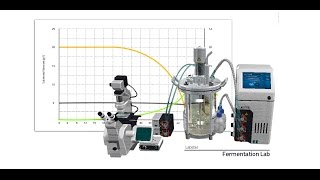 Labster Virtual Lab Fermentation Simulation [upl. by Eissac]