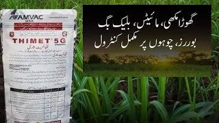 Thimet Swat agro  AMVC USA  phorate  Usages and benefits for crops  Kissan Ghar [upl. by Brunhild]