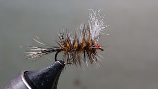 Ausable Bomber [upl. by Bettye]