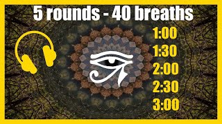 Wim Hof Breathing 5 rounds  40 breaths with Pineal Gland Healing Sounds [upl. by Leikeze]