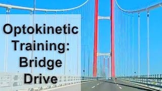 Optokinetic Training Bridge Drive Simple Suspension [upl. by Ativet]