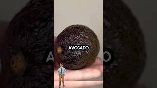 Se vedi questo avocado arrabbiato non toccarlo shorts [upl. by Roldan518]