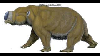 Diprotodon Sounds [upl. by Dayna860]