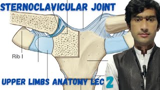 Sternoclavicular joint anatomy by zawar yousafzai  by medexplora 2 [upl. by Lucic]