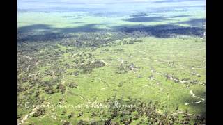 A birds eye view Environmental watering in the lower Lachlan River catchment [upl. by Yvi235]