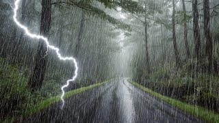 Sleep Instantly with Heavy Rainstorm amp Powerful Thunder Sounds Covering the Rainforest Park at Night [upl. by Granoff]