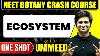 ECOSYSTEM in 1 Shot All Concepts Tricks amp PYQs  NEET Crash Course  Ummeed [upl. by Montague]