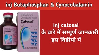 Inj catosal  Butaphosphan amp cynocobalamin uses in hindi in veterinary [upl. by Enirahtak]