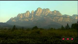 Lushan National Park UNESCONHK [upl. by Nilorac599]