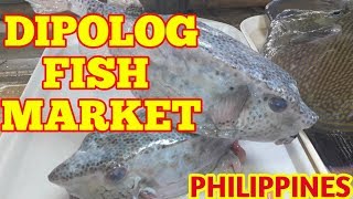 DIPOLOG FISH MARKET QB VLOGS [upl. by Ransom18]