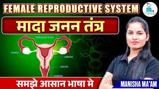 Female reproductive system  मादा प्रजनन तंत्र  Anatomy and physiology  Biology [upl. by Lokim]