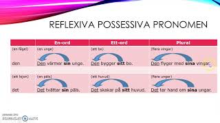 Reflexiva possessiva pronomen [upl. by Mad]