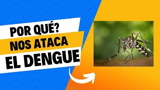 Dengue sus consecuencias y como debemos cuidarnos [upl. by Anived]