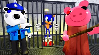 Roblox Piggy  Sonic Trapped In Jail Funny Cartoon Story Animation by CraftTastic [upl. by Bertrand186]