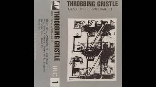 Throbbing Gristle – The End Live ICA [upl. by Kalbli]