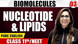 BIOMOLECULES 03  Nucleotide amp Lipids  Zoology  Pure English  Class 11th NEET [upl. by Akamaozu]