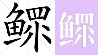 鳏的笔画顺序教学，鳏的意思，鳏的字义解释，鳏的字典查询，鳏的汉字编码。 Meaning of 鳏 definition of 鳏 stroke order of 鳏  汉字 汉字笔画 鳏 [upl. by Moreen503]