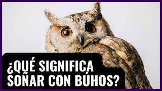 ¿Qué significa SOÑAR CON BÚHOS 🦉 8 significados que NO SABÍAS 😱 [upl. by Sabah937]