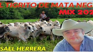 EL TIGRE DE MATA NEGRA MIX 2020 THE K CIQUE DJ YSAEL HERRERA SCREAM MUSICDISCPLAY [upl. by Nhoj]