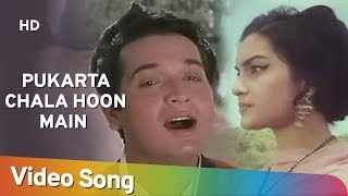 Pukarta Chala Hoon Main HD  Mere Sanam 1965  Asha Parekh  Biswajit Chatterjee  MohdRafi [upl. by Adnowal]