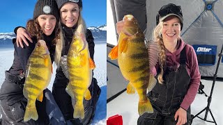 Ice Fishing the Largest Jumbo Perch of Our Lives  Cascade Part 2 [upl. by Anirac]