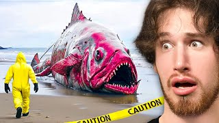 Craziest Things Found in Nature [upl. by Gallagher]