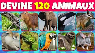 Devine 120 ANIMAUX en 3 SECONDES  🐢🦁🐘  Quiz ANIMAUX  Facile à IMPOSSIBLE 🤯 [upl. by Ereveneug]