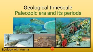 Geological timescale  Paleozoic era and its periods [upl. by Essined]