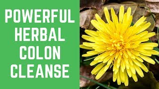 Herbal Colon Cleanse  5 Astonishing Ways To Herbal Colon Cleanse [upl. by Rednasyl]