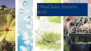 UltraClean Antarctic Krill [upl. by Ivey802]