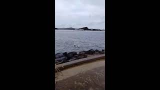 🔴EN VIVO Topolobampo Sinaloa ya llueve a consecuencia del paso de la Tormenta Tropical Ileana [upl. by Yr205]