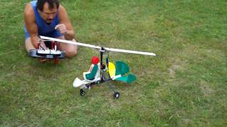 NEW GYROCOPTER RC PLANE [upl. by Iht]