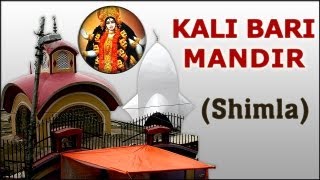 Darshan Of Kali Bari Mandir  Shimla  Temple Tours Of India [upl. by Keily]