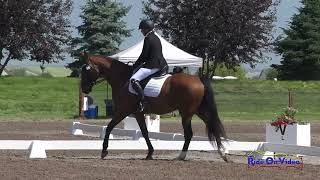 527D Lindsay Stewart on McKenzie King SR Beginner Novice Dressage Rebecca Farm July 2024 [upl. by Armallas]