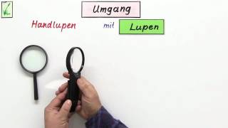 MIKROSKOP UND LUPE  Biologie  Biologie der Zellen [upl. by Artinahs]