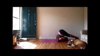 Dear Jessamyn Plow Pose Halasana [upl. by Haskell]