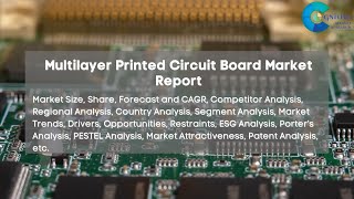 Multilayer Printed Circuit Board Market Report 2024 [upl. by Northrup]