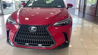 2024 Lexus NX350 AWD Walkaround [upl. by Alleiram]