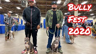 XL Bully Bully Fest 2020 AllentownPA [upl. by Sandberg900]