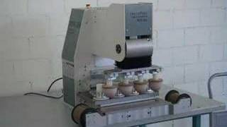 MS130 amp MS250  Demonstration Video [upl. by Essam823]