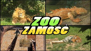 ZOO Zamość  Ogród Zoologiczny im Stefana Milera  Zamość Poland 4k [upl. by Lyris]