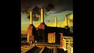 Pink Floyd  Pigs Three different Ones [upl. by Proctor]