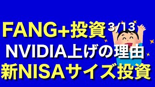 FANG投資、NVIDIA爆上げの理由、新NISAサイズ、半導体ETFポートフォリオ日記 [upl. by Llennyl689]