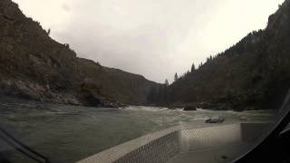 Lower Salmon River Jet Boat [upl. by Ssenav]