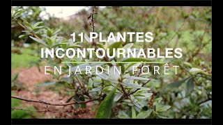 11 plantes incontournables ou presque en JardinForêt [upl. by Kassaraba]